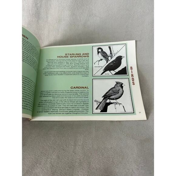 1970'S Ohio Department Natural Resources Books NATURE LORE BOOK cottagecore - Picture 3 of 7